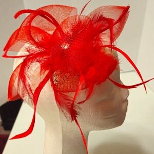 ``RH25921 Red Feathers Fascinator